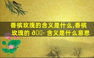 香槟玫瑰的含义是什么,香槟玫瑰的 🌷 含义是什么意思